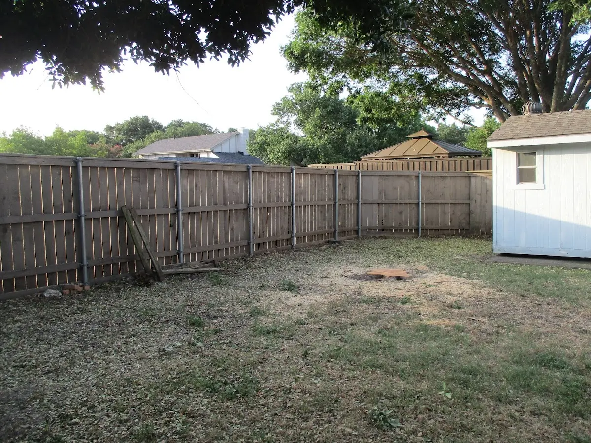 Cleared yard after professional tree removal in Hadley
